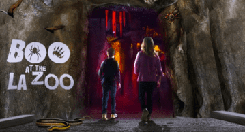 10 Family-Friendly Fall Festivities in LA, Boo at the LA Zoo