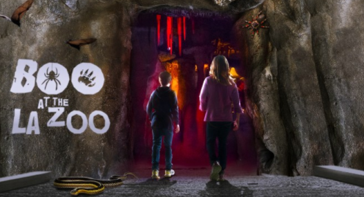 10 Family-Friendly Fall Festivities in LA, Boo at the LA Zoo