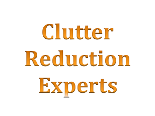 Clutter Reduction Experts