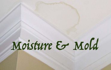 Mold and Moisture