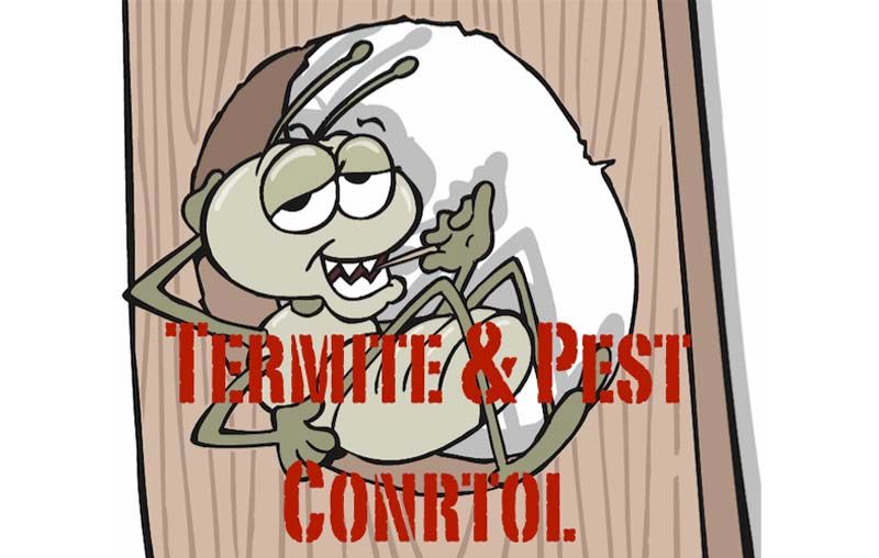 Termite & Pest Control
